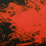 View Product Details