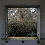 View Product Details