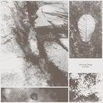 View Product Details