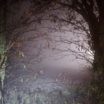 View Product Details