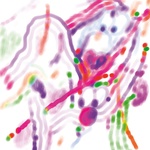 View Product Details