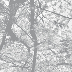 View Product Details